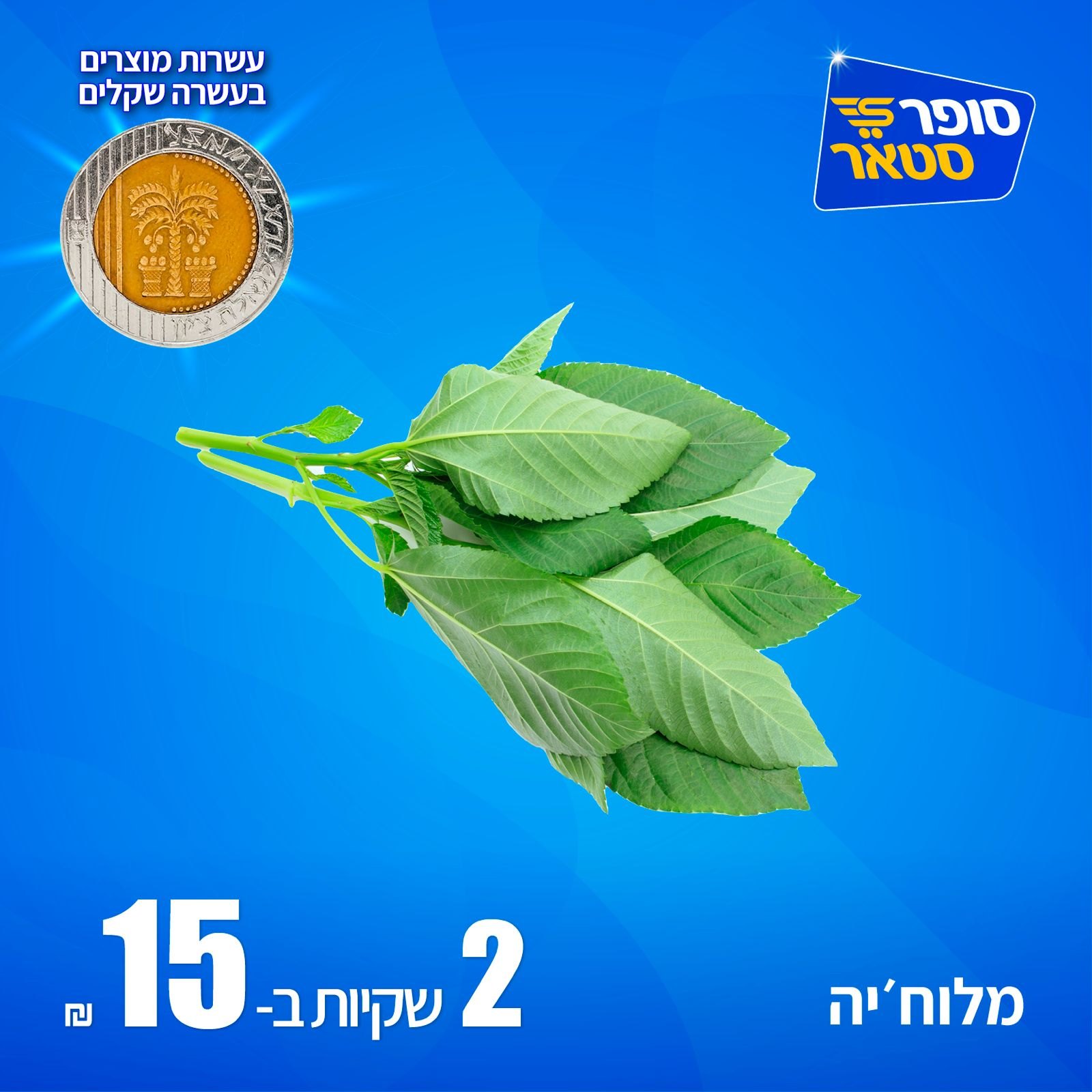 מבצע 6